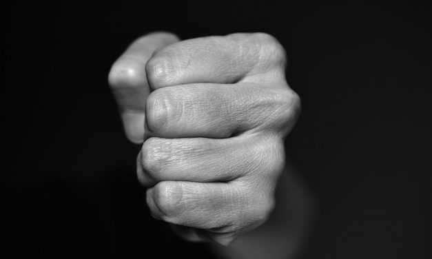 NOVODOBÍ „BOJOVNÍCI“ VS SKUTOČNÉ NÁSILIE