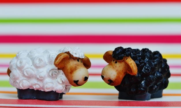 KÝM INÝCH ĽUDÍ NAZVETE OVCAMI