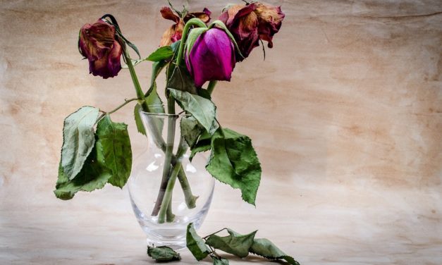 ÁNO, VRAJ ŤA MILUJE. ALE?